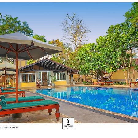 Lake Lodge Boutique Hotel Dambulla Buitenkant foto