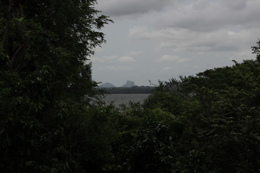 Lake Lodge Boutique Hotel Dambulla Buitenkant foto