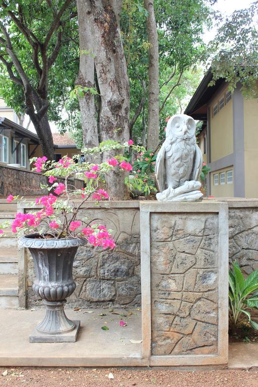 Lake Lodge Boutique Hotel Dambulla Buitenkant foto